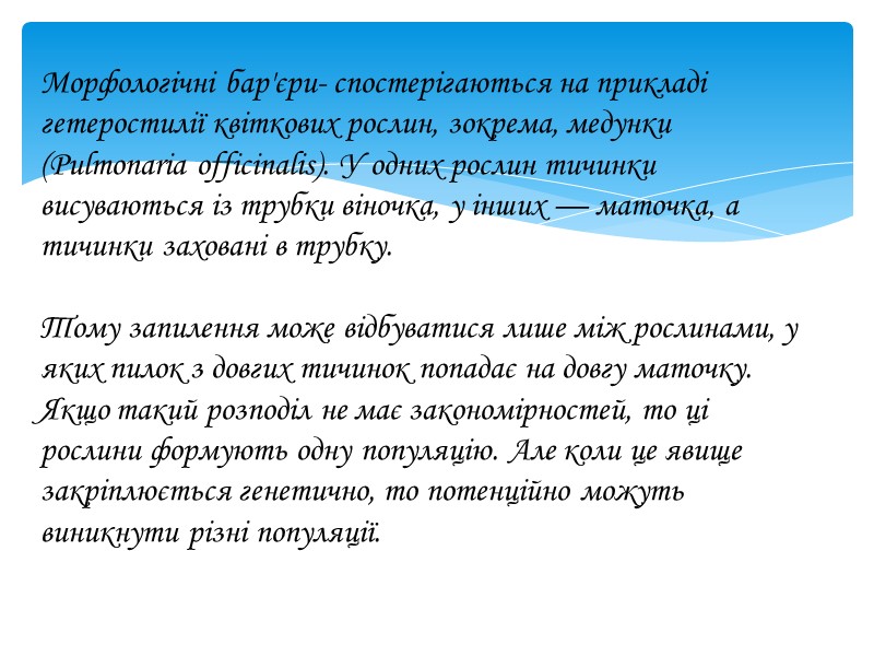 Морфологічні бар'єри- спостерігаються на прикладі гетеростилії квіткових рослин, зокрема, медунки (Pulmonaria officinalis). У одних
